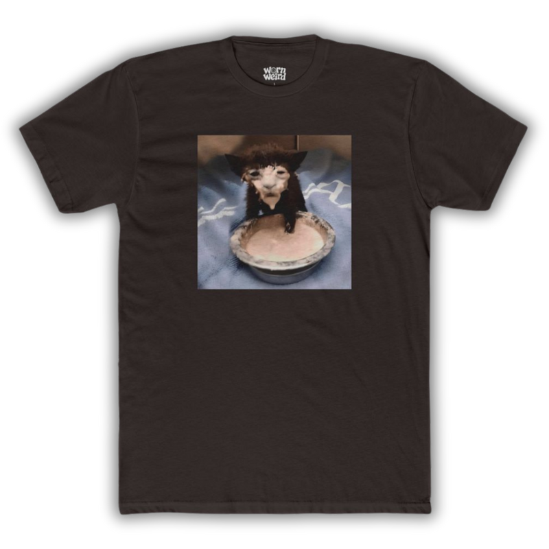 Iconic Cat in Cream Graphic Tee