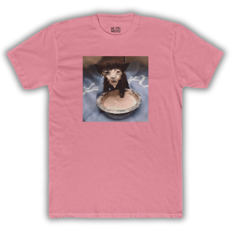 Iconic Cat in Cream Graphic Tee